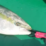 BELMONT MR-006 METAL FISH GRIP
