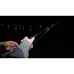 DAIWA rod GEKKA BIJIN MX AJING