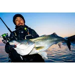 DAIWA rod LABRAX AGS
