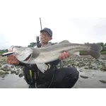 DAIWA rod LABRAX AGS