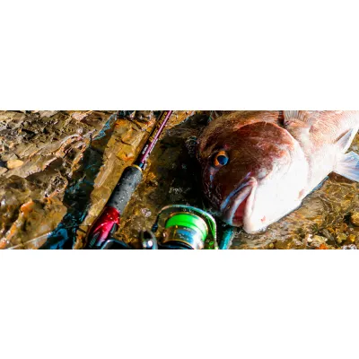 DAIWA rod OVER THERE AGS