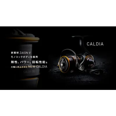 DAIWA reel 21 CALDIA