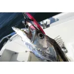 DECOY DJ-88 Twin Pike
