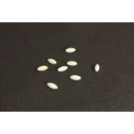 DECOY SG-33 Shore Float Beads S