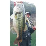 DECOY Treble Y-F33F