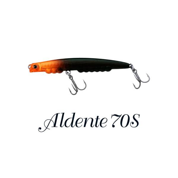 IMA Aldente 70S