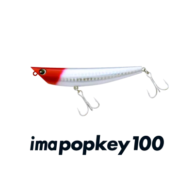 IMA imapopkey 100