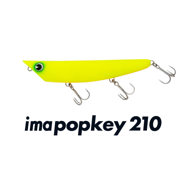 IMA imapopkey 210