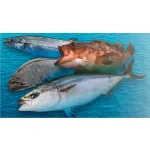 Jackall BAMBLUZ Jig Slow 120g