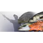 Jackall BIG BACKER WAGSHAD 28g