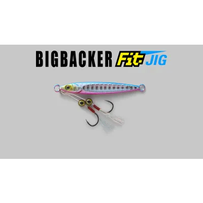 Jackall BIG BACKER FIT JIG 40g