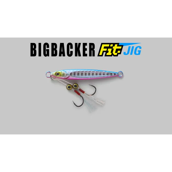 Jackall BIG BACKER FIT JIG 20g