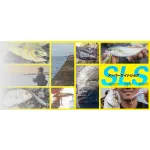 Jackall BIG BACKER FIT MINNOW 70