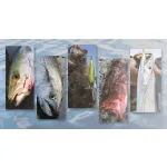 Jackall Big Backer JIG 30g