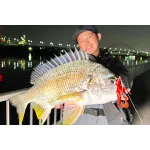 Jackall CHUNK CRAW 2.8” SALT BP