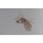 Jackall DRIFT CRAB MINI