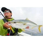 Jackall FLAG TRAP 80g