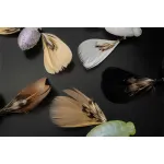 Jackall NEED CICADA