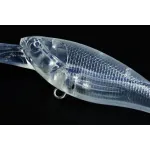 Jackall SOUL SHAD 52SP
