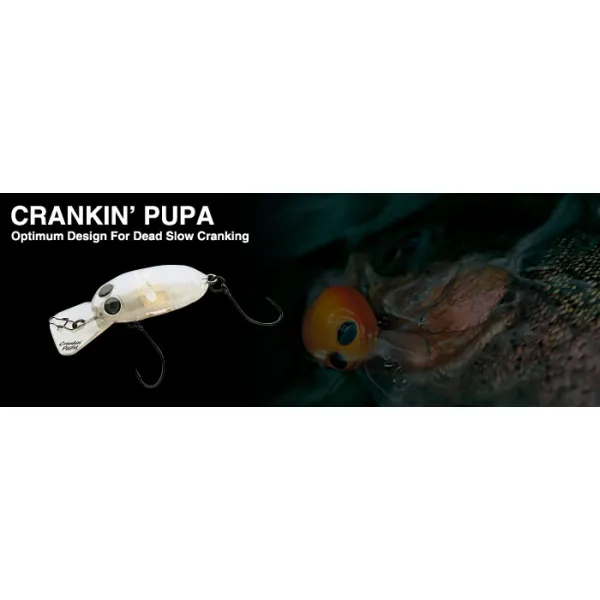 NORIES CRANKIN PUPA