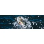 PALMS JABAMI SaltyLipless JML-135F