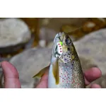 SMITH AR-S Trick Color 4.5g