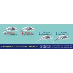 SMITH Dango Fish DR-High