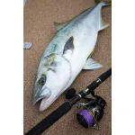 VARIVAS Casting SMP Hiramasa TUNE X8 300m