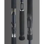 XESTA rod Runway XR