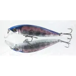 SHIMANO CARDIFF PINSPOT 50HS